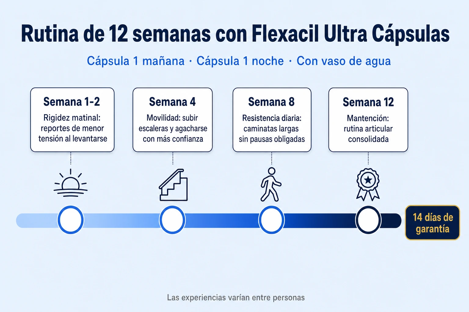 Línea de tiempo de 12 semanas mostrando la rutina articular con Flexacil Ultra Cápsulas combinada con actividad física moderada e hidratación