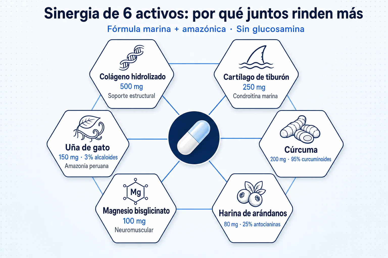 Diagrama hexagonal de los 6 activos de Flexacil Ultra Cápsulas: Colágeno hidrolizado 500 mg, Cartílago de tiburón 250 mg, Uña de gato 150 mg, Cúrcuma 200 mg 95%, Magnesio 100 mg, Arándanos 80 mg