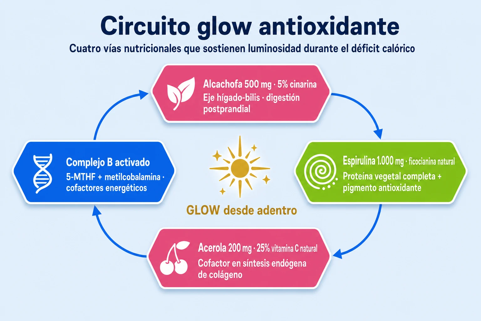 Circuito de glow antioxidante de Glow Drink mostrando la conexión entre alcachofa (hígado), espirulina (ficocianina), acerola (vitamina C natural) y complejo B activado