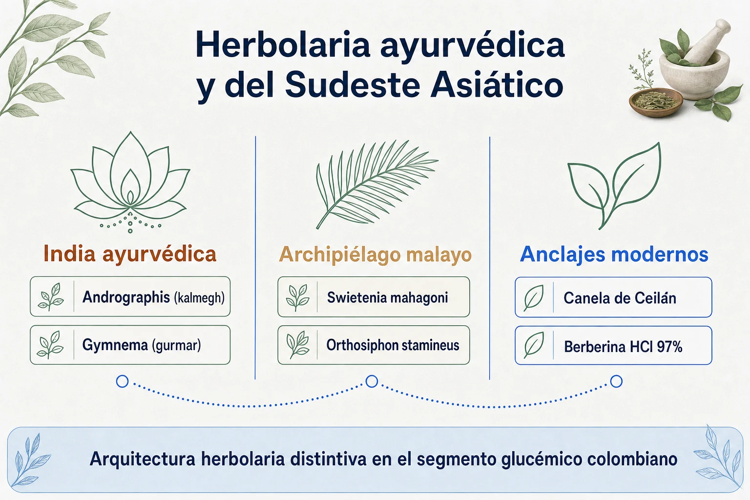 Diagrama de la arquitectura herbolaria ayurvédica + sudeste asiático de GlucoZen mostrando el origen geográfico de cada uno de los seis activos botánicos titulados
