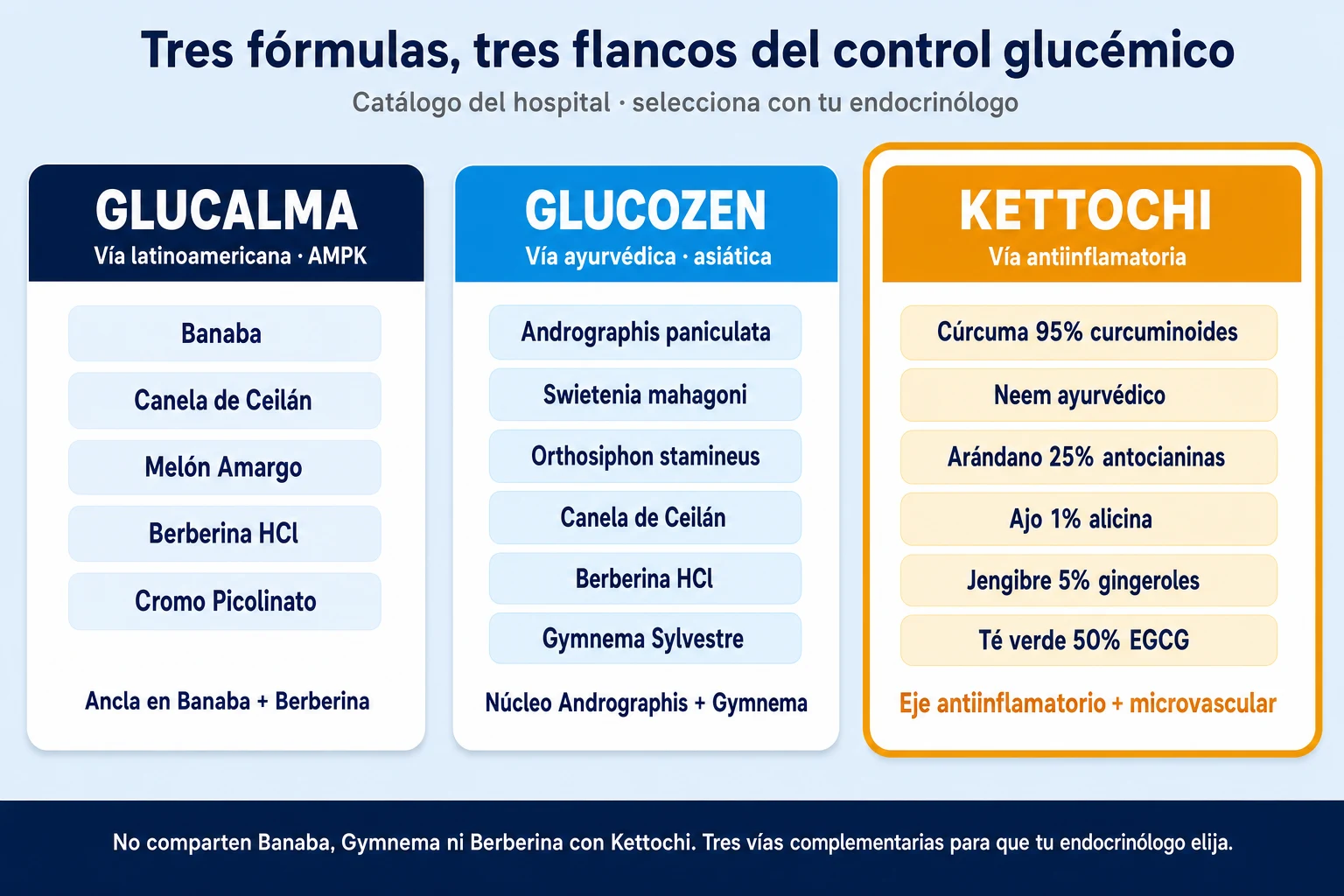 Comparación de las tres fórmulas de control glucémico del catálogo: Glucalma con ancla en Banaba y Berberina, GlucoZen con núcleo Andrographis y Gymnema, y Kettochi con vía antiinflamatoria Cúrcuma + Neem