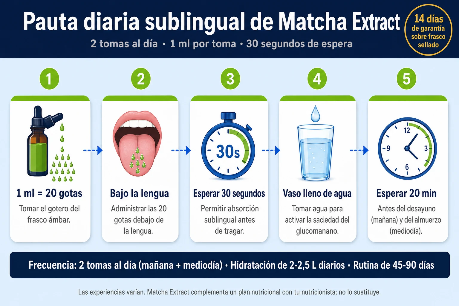 Pauta diaria de Matcha Extract: 1 ml bajo la lengua antes del desayuno, 30 segundos de espera, vaso de agua, repetición antes del almuerzo, agua e hidratación 2 a 2,5 litros al día