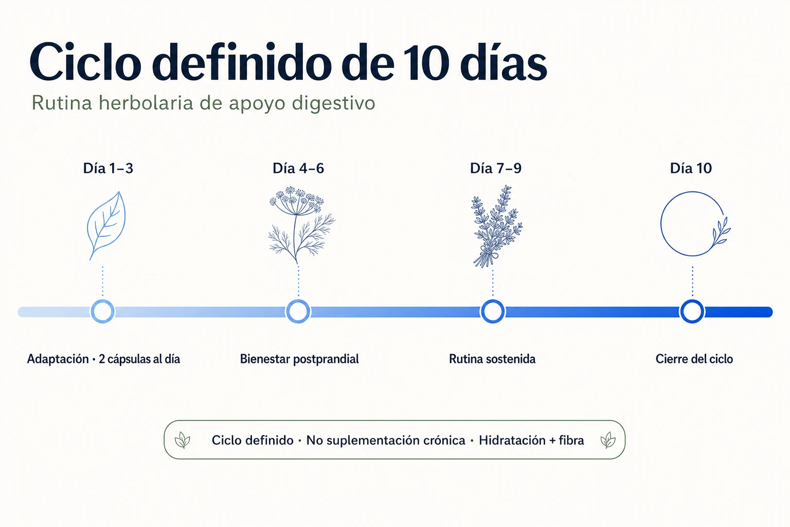 Línea de tiempo del ciclo orientativo de 10 días con Papaya Cleanse mostrando dos cápsulas al día integradas a una rutina de fibra dietética e hidratación abundante